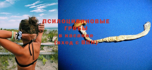 spice Алексеевка