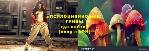 spice Алексеевка
