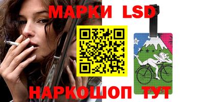 дживик Моздок