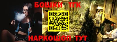 дживик Моздок