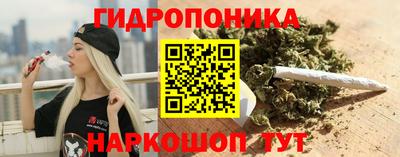 дживик Моздок