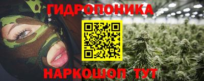 тгк Можга